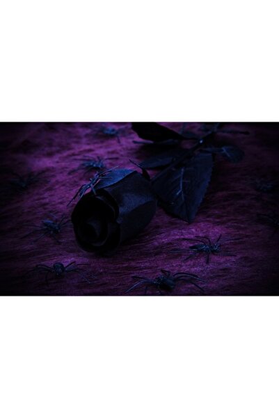 GRELYS PRINT Tablou Canvas, Abstract 26, 80 x 50 cm, Rama lemn, Multicolor