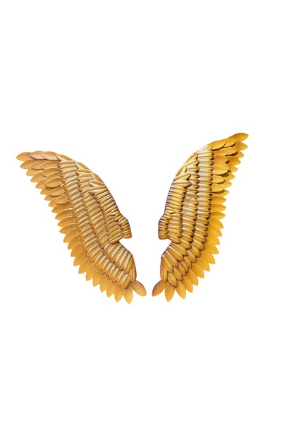 seasons box Luxury Golden Wings Wall Art - Modern Wall Decor