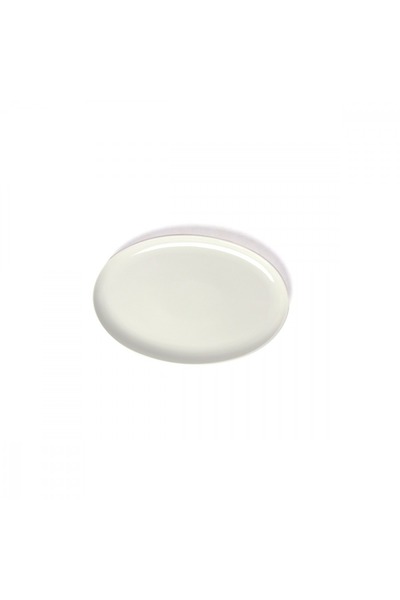 SQUALO Squalo - Elegant Flat Oval Serving Dish (Porcelain) White - 3.4x41x26.8 cm