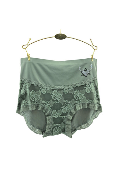 Elaram Kadın Yüksek Bel Dantelli Rahat Külot