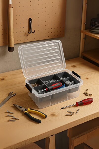 Depa 10.5 L Transparent Storage Box & Organizer Organizing Box