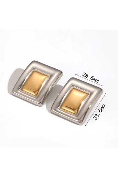 Generic Steel Earrings - Women's Gold and Silver