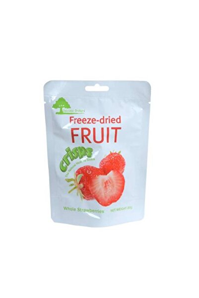 111 Recently Arrived Freeze-Dried Strawberries 20g