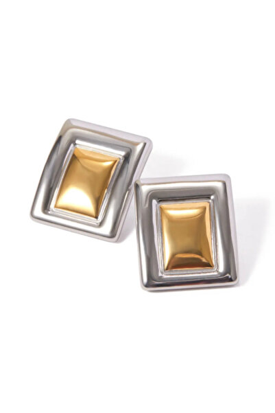 Generic Steel Earrings - Women's Gold and Silver
