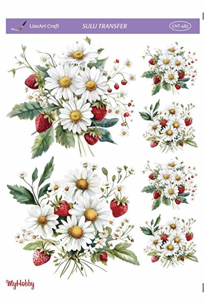 LİNEART Sulu Transfer No:LNT482-25x35cm