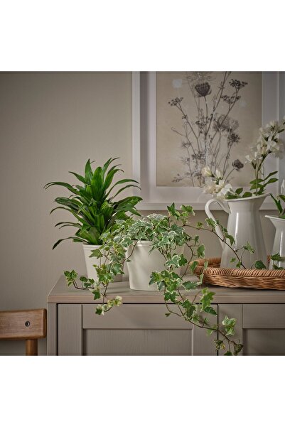 IKEA KÖRSBÄRSBJÖRK Plant pot, light grey-beige, 12 cm