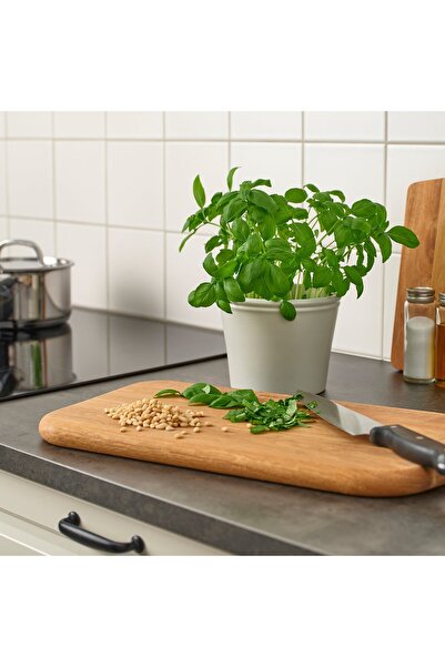IKEA KÖRSBÄRSBJÖRK Plant pot, light grey-beige, 12 cm