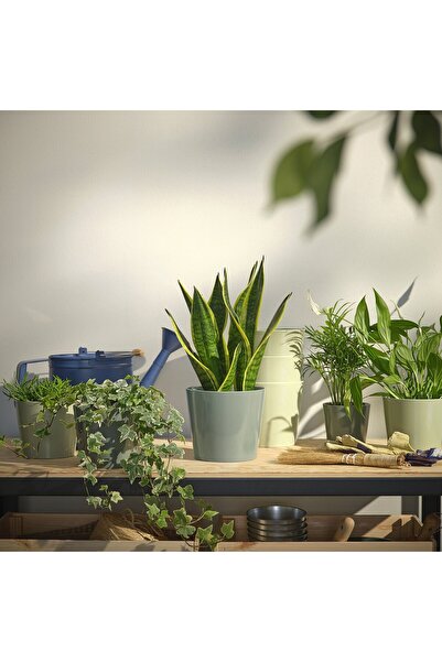 IKEA SOJABÖNA Plant pot, grey/green, 9 cm