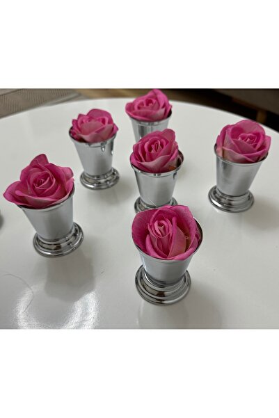 Elzemm store Decorative Silver Plated 6 Pieces Rose Bowl Pink Color Rose Is Included
