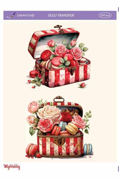 LİNEART Sulu Transfer No:LNT444-25x35cm