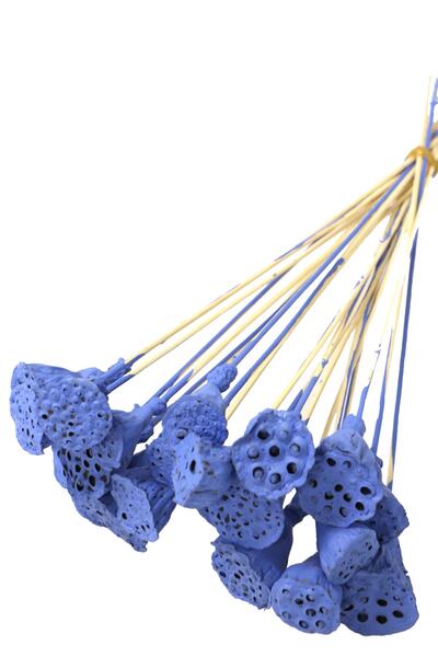 Yapay Çiçek Deposu 20 Adet Bambu Şiş Saplı Mini Lotus Çiçeği Plant Saks Mavi (Gerçek Lotus)