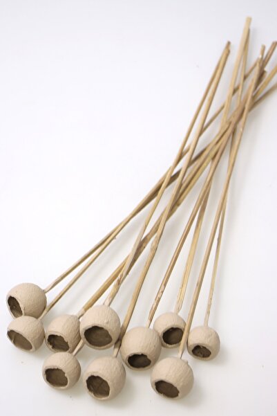 Yapay Çiçek Deposu Декоративна малка чаша с камбанка, 10 броя, тропическа тиква, цвят пясък