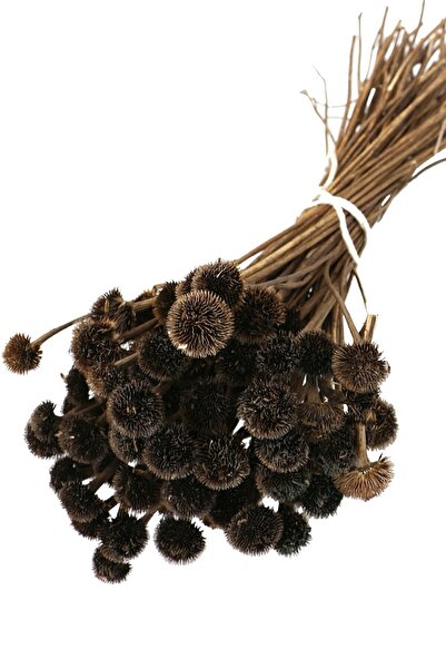 Yapay Çiçek Deposu Букет от сушени маргаритки, естествен