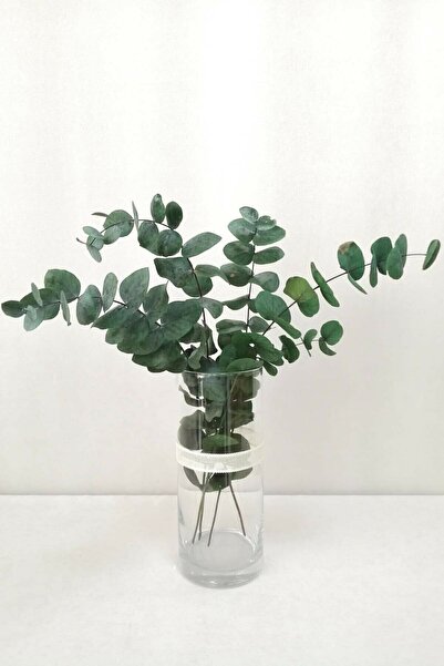 Genel Markalar Büyük Mavi Şoklanmış Okaliptus Demeti (40-50CM)