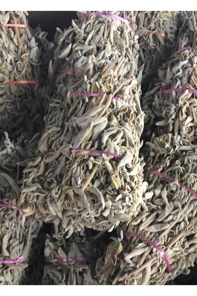 aktarloji 2 Adet Adaçayı Çalba Otu Bağ