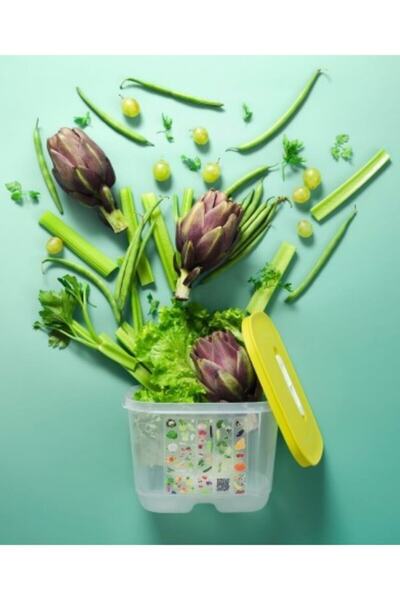 Tupperware Sera 1.8 Storage Container 2 Pieces - Square