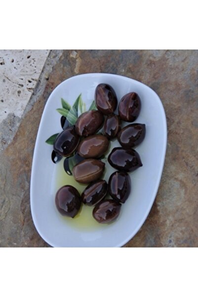 Tüplü Iri Meyveli Tarsus Sarıulak Zeytin Fidanı
