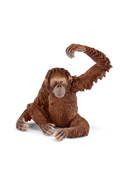 SCHLEICH Dişi Orangutan 14775