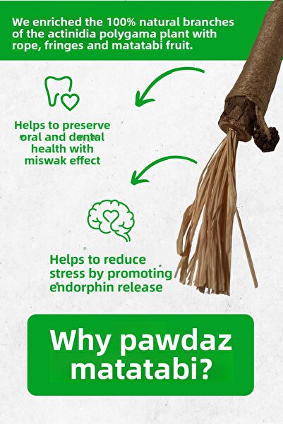 pawdaz Large Matatabi Stick (1 Piece) Natural Toy That Helps Clean Teeth and Relieve Stress