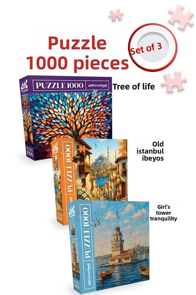 Neverland 3 Pcs 1000 Piece Puzzle - Old Istanbul Street and the Girl Tower Ne...