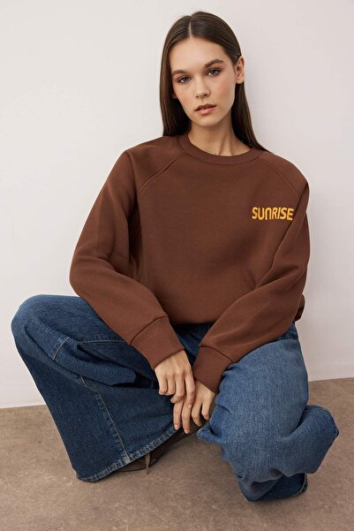 Trendyol Collection Light Brown Slogan Embroidered Raglan Sleeve Oversize/Wide Fit Knitted Sweatshirt Twoaw26Sw00174
