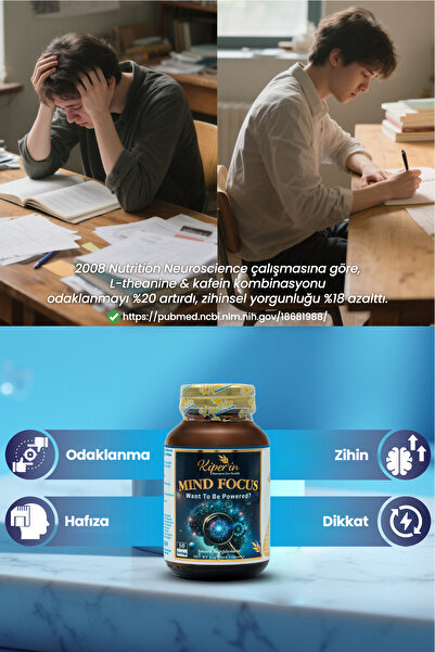 Kiperin Mind Focus Aslan Yelesi Mantarı, Sitikolin, Rhodiola, L-Theanin .. (1440mg) | Akıllı Gıda Takviyesi