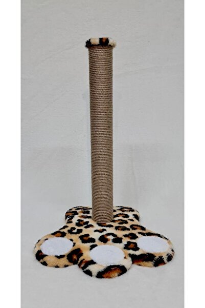 Cathause Paw Cat Scratching Leopard