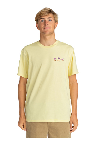 BİLLABONG EBYZT00170_DREAMY PLACE TEES Açık Sarı Erkek Bisiklet Yaka Regular ...