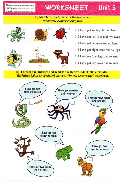 Language Publishers 2. 3. 4 Grade 30 English Exercise Worksheets / Test Book Preparation for Exams - Primary School