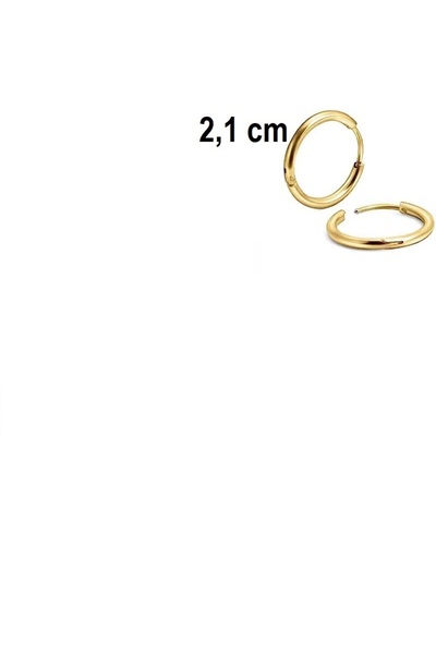 Siya Silver Gold Color Surgical Steel Hoop Earrings - Choose Size