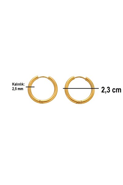 Siya Silver Gold Color Surgical Steel Hoop Earrings - Choose Size