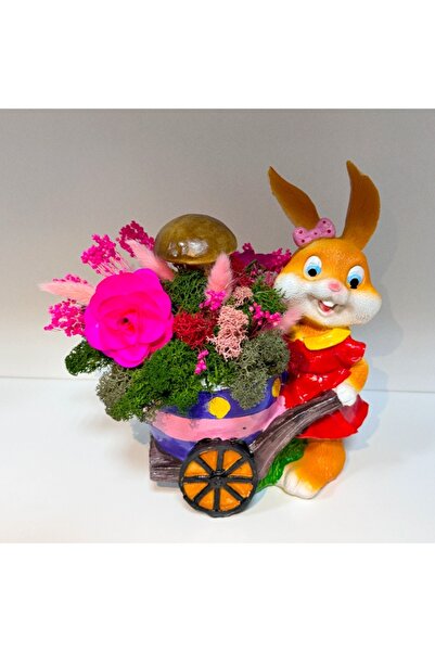 velve Aranjament floral Bunny, iepuras fetita,carut cu licheni criogenati stabilizati, Rosu