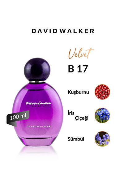David Walker B17 Hollywood 100 ml Kadın Parfüm | Velvet