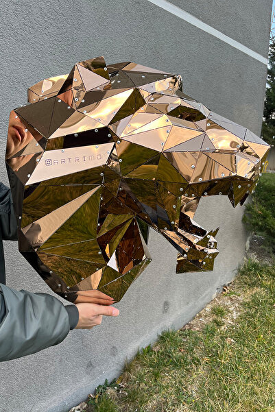 artrimo 3 Boyutlu Paslanmaz Çelik Titanyum Kaplama Dekoratif Metal Aslan Kafa...