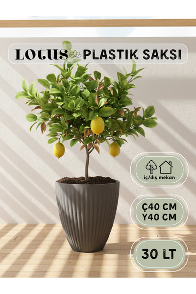 Genel Markalar Lotus Plastik Saksı Antrasit Çap 40cm Yükseklik 42cm