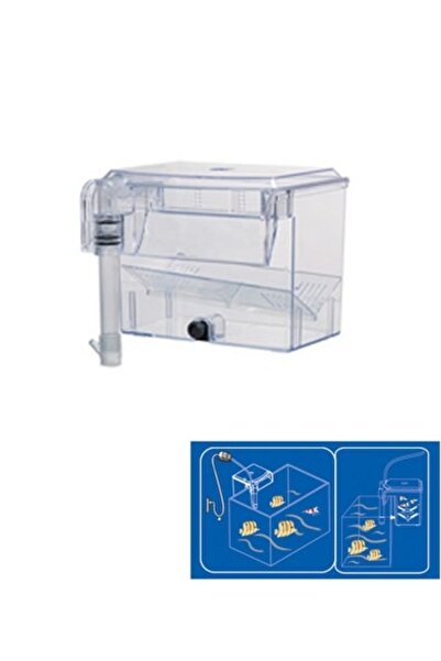 Dophin Puppyhood Bb11 Live Birth Delivery Unit 15X13X12 cm