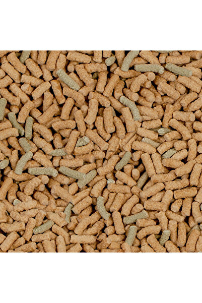 SERA Raffy P Sticks Nature 50 gr. SKT : 10/2027 Kaplumbağa Yemi