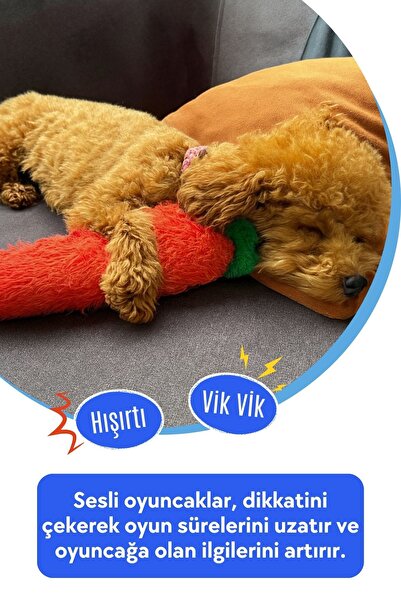 Havhav Tombik Havuç Peluş Köpek Oyuncağı | Vikvik ve Hışırtı Sesli Turuncu Köpek Oyun Uyku Arkadaşı