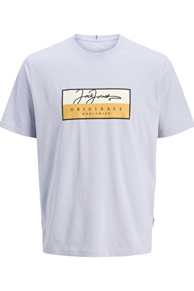 Jack & Jones JORFREDERIKSBERG BOX SCRIPT TEE SS CN LN AÇIK MAVİ