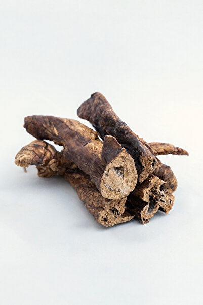 Genel Markalar KURUTULMUŞ CİĞER ŞERİTLERİ KÖPEK ÖDÜLÜ 100 GR