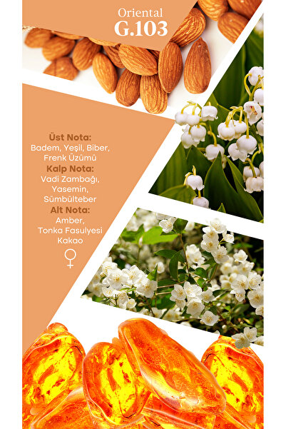 Mad Parfüm Mad G103 Selective 100 ml Kadın Parfüm