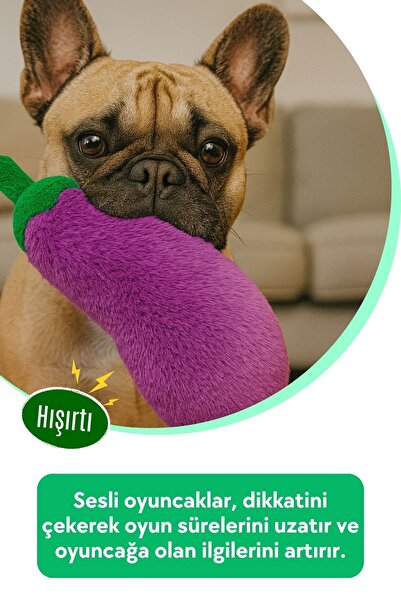 Havhav Tombik Patlıcan Peluş Köpek Oyuncağı | Hışırtı Sesli Mor Köpek Oyun Uyku Arkadaşı