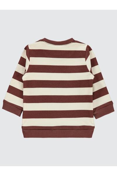 Civil Baby Erkek Bebek Sweatshirt 6-18 Ay Çikolata Kahve