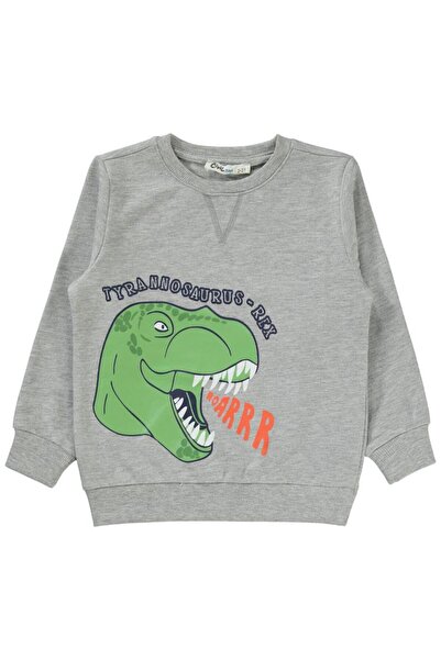 Civil Boys Dino Roar cu imprimeu 2-5 ani Swea tricou - Gri 4-5 ani