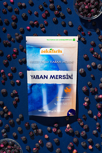 sekafarm Freeze Dried Blueberries 20 g – Freeze Dry Fruit Chips