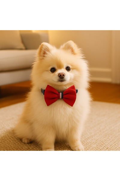 MBS Pet Stylist ربطة عنق للكلاب والقطط قابلة للتعديل مقاس S