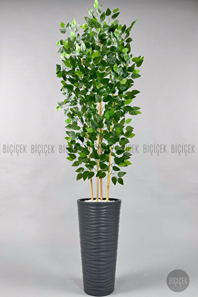 BİÇİÇEK Yapay Benjamin Ağacı 180cm Yoğun Yapraklı Bambu Gövdeli Antrasit Renk Kumsal Saksıda