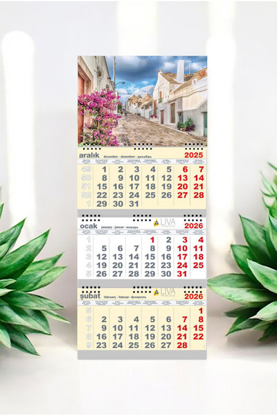 Liva Promosyon Orta Boy Gemici Takvim (3 PARÇA SPİRALLİ) 2026 Yeni Yıl