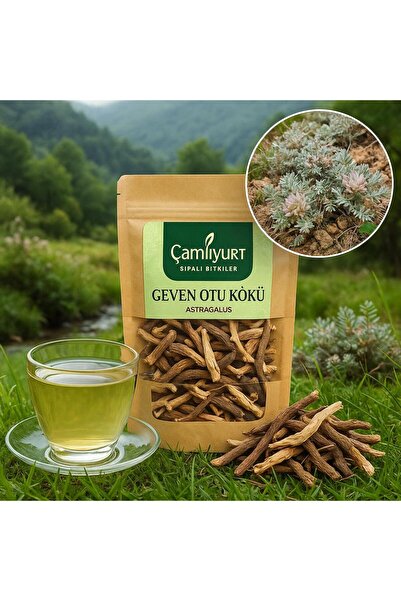 Genel Markalar Geven Otu Kökü - 50 gr