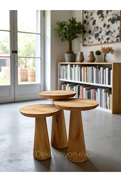 Dekorasyon evde Ham mantar sehpa